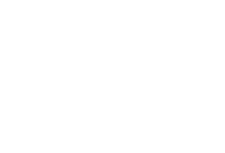 Marcel for Congress